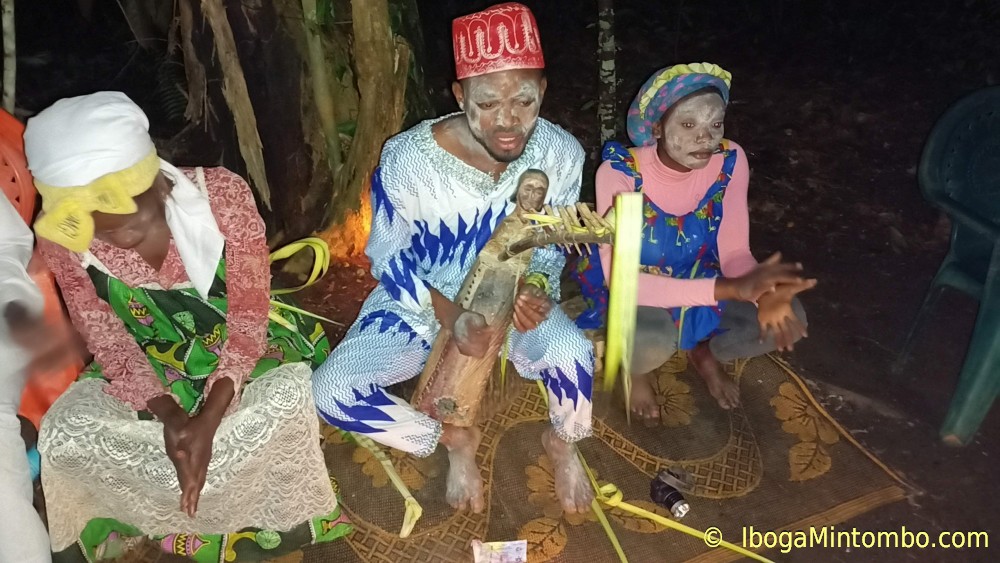 Ngomo (Ngombi) Bwiti Sacred Harp, size small - Image 7