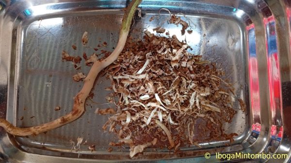 Iboga rootbark powder - Image 5