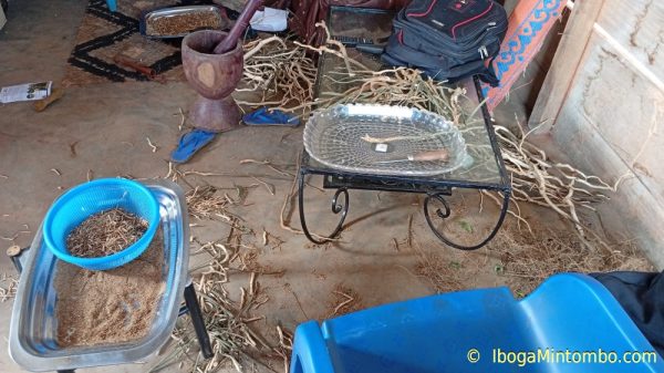 Iboga rootbark powder - Image 8