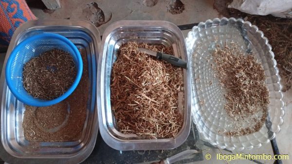Iboga rootbark powder - Image 7