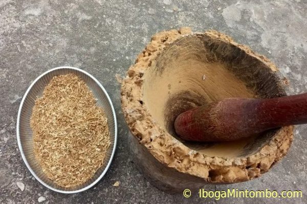 Iboga rootbark powder