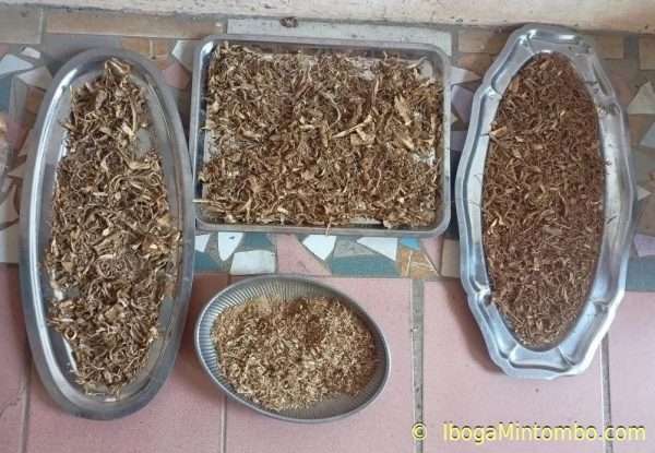 Iboga rootbark powder - Image 2